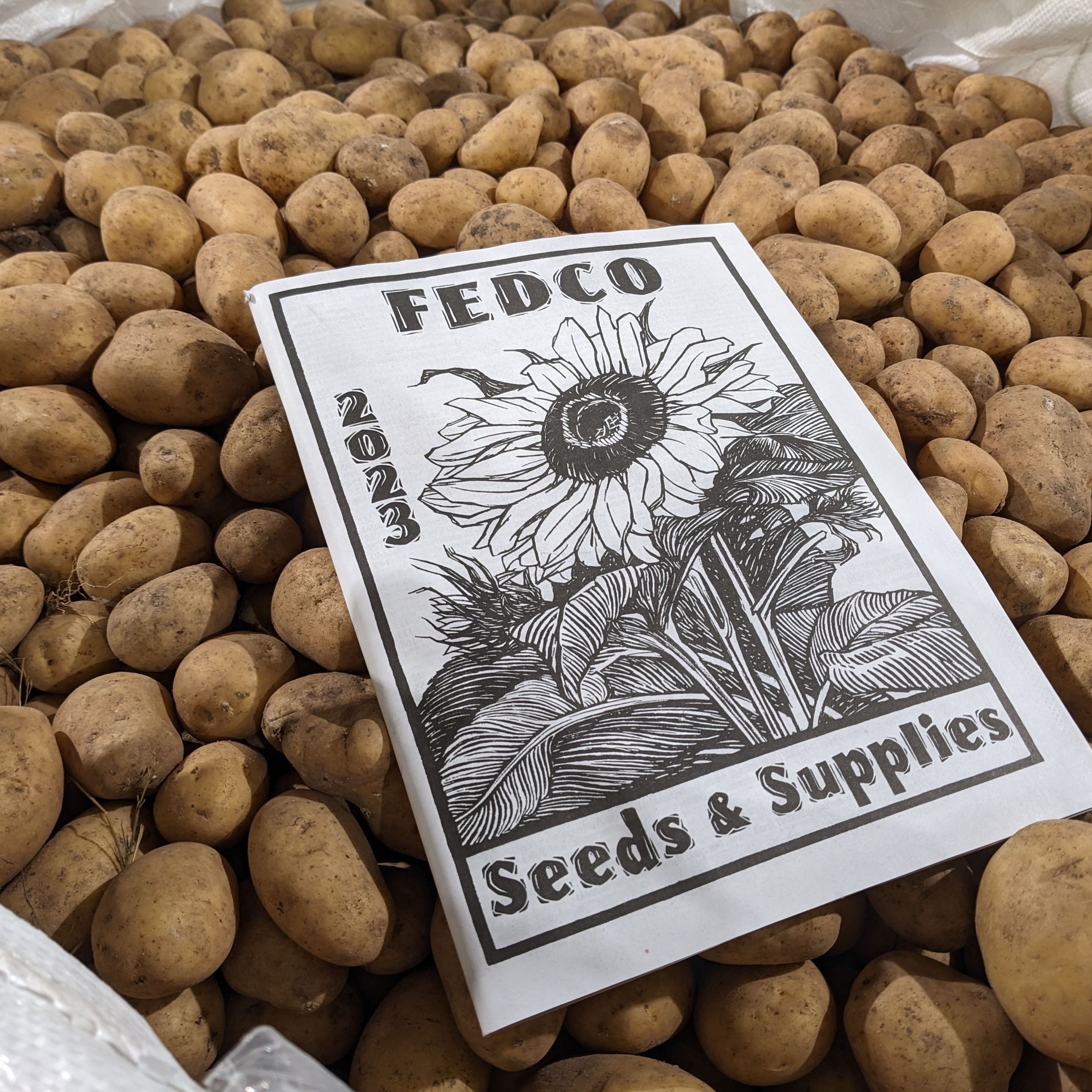 A Fedco catalog sitting on a large pile of potatoes.