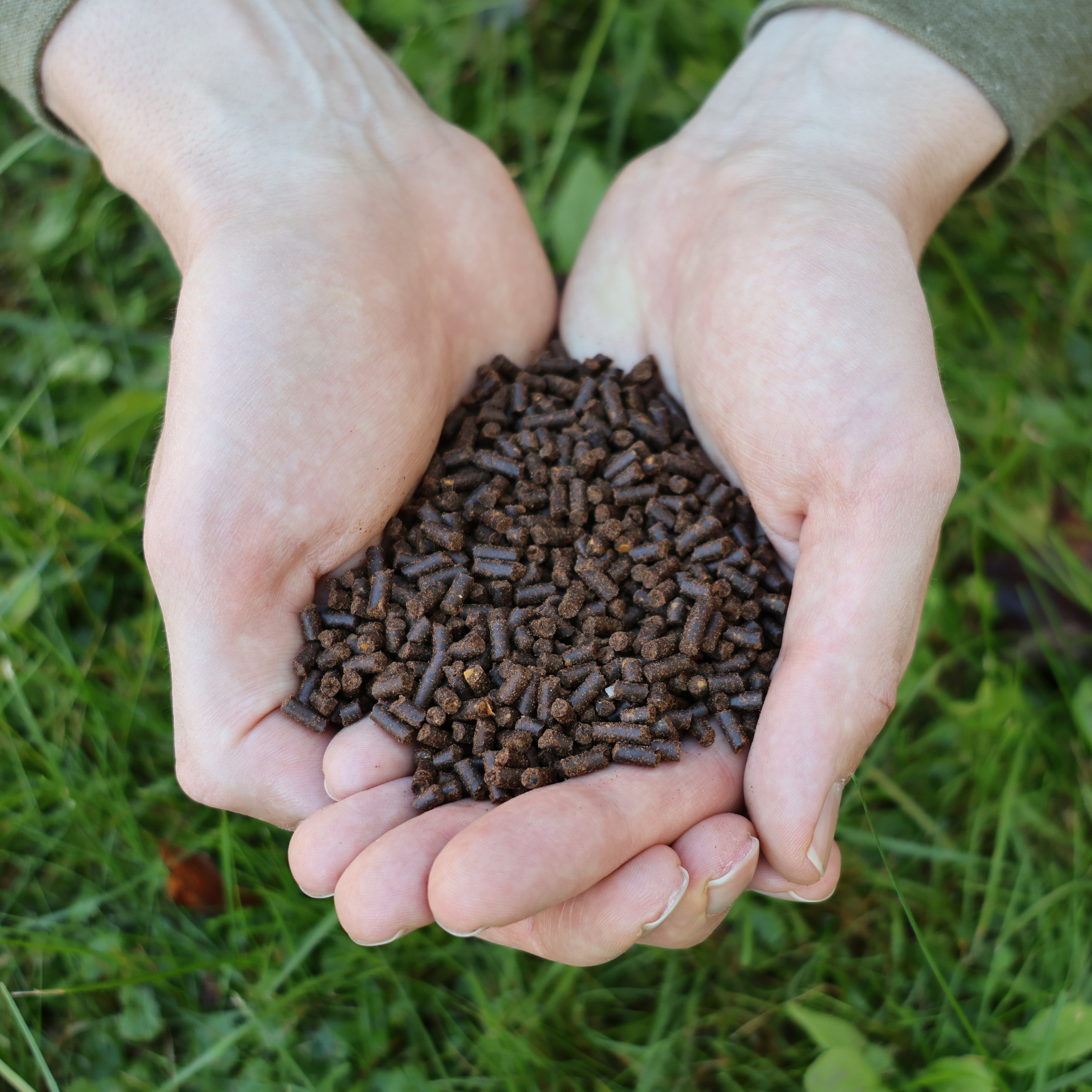 Single Ingredient Nitrogen