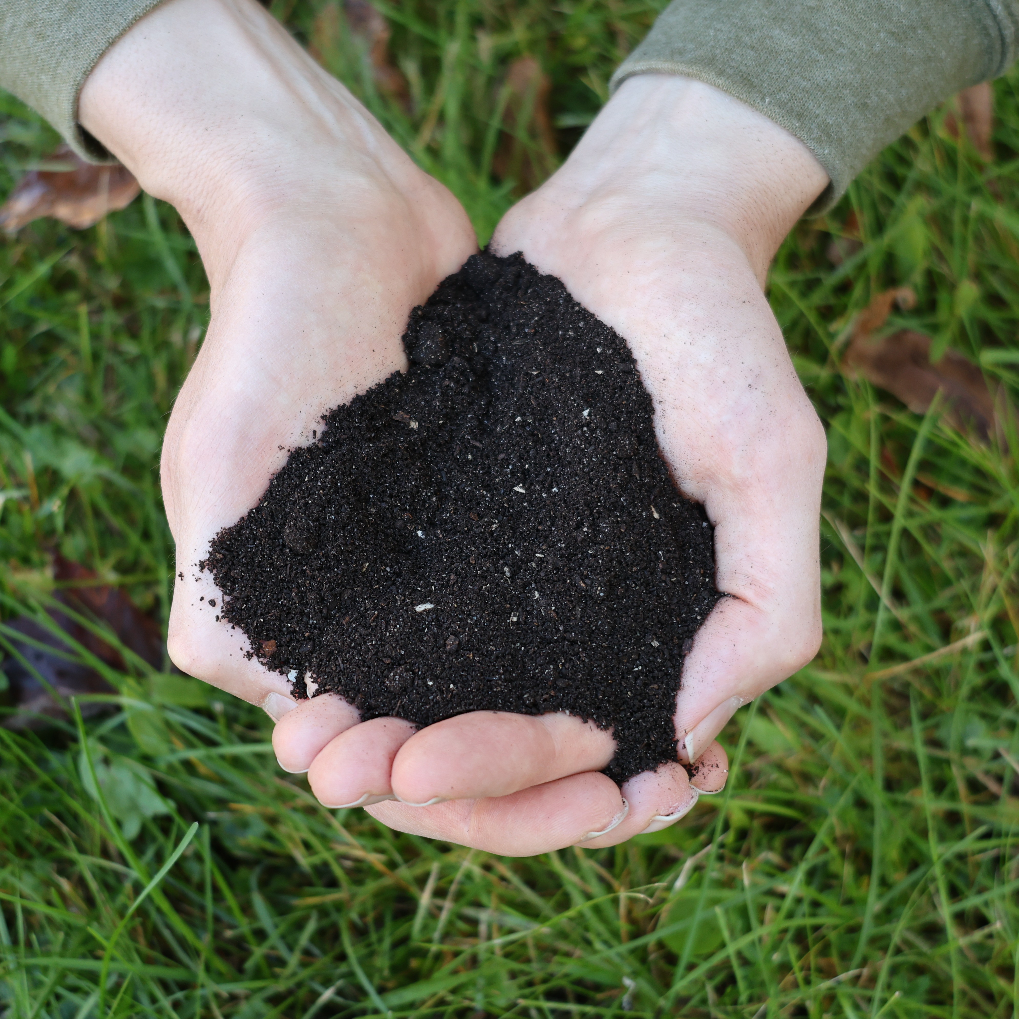 Worm Castings and Frass