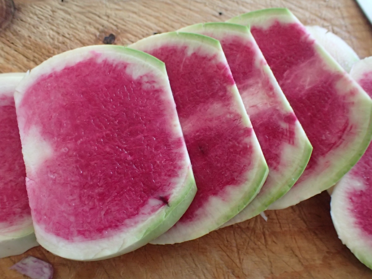 Winter Radishes
