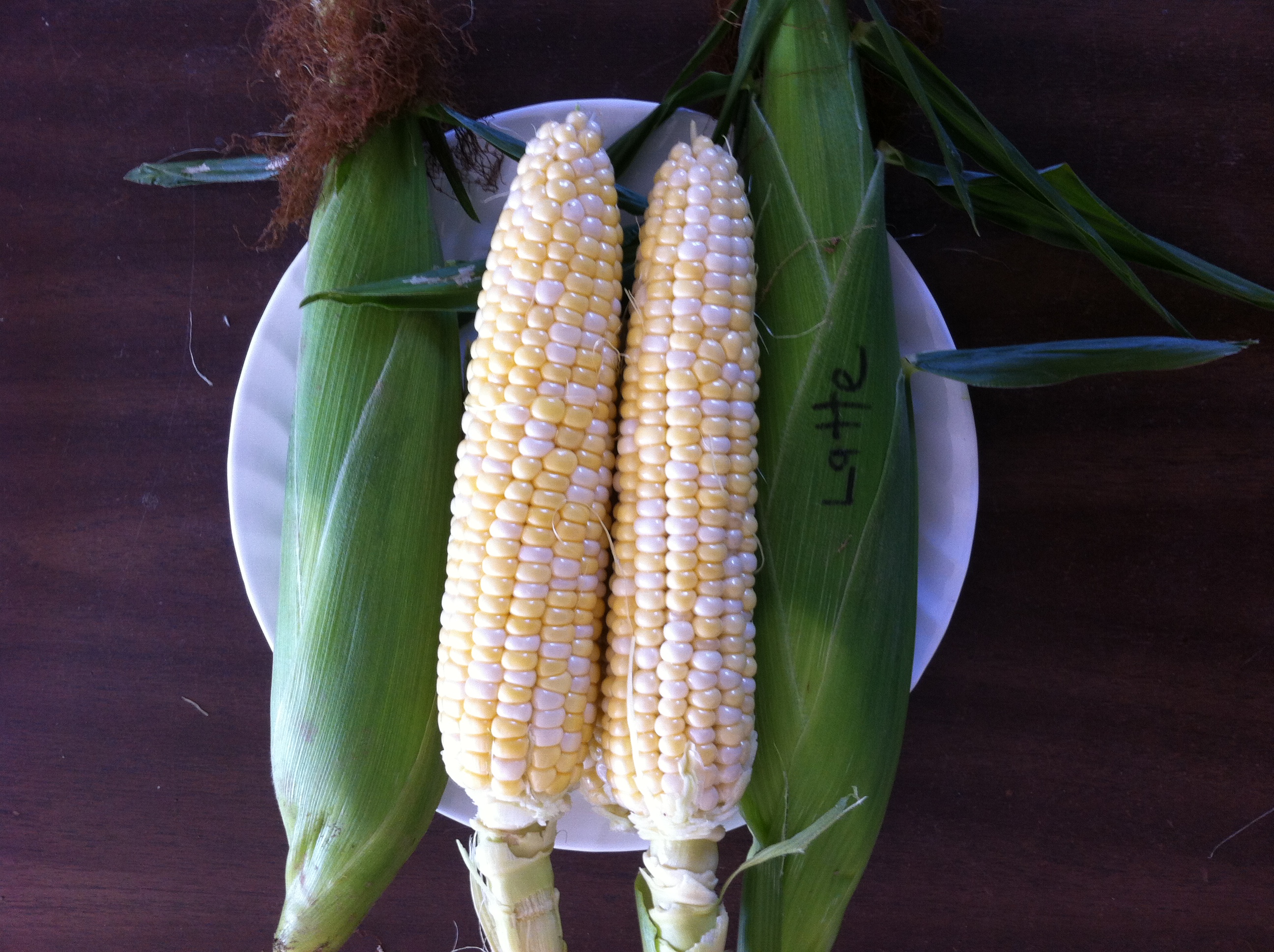Bicolor Sweet Corn